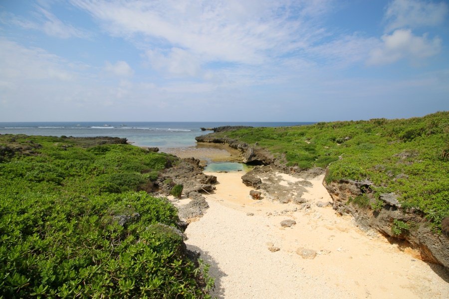 🏞️ 니시카이간 공원(백조곶 서해안 공원) 이미지 1